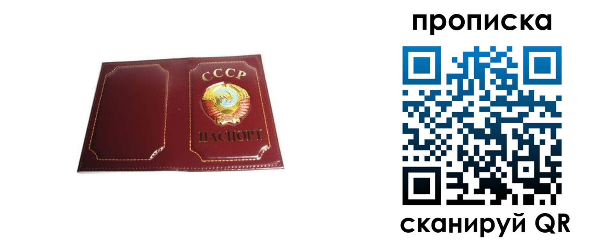 прописка гарантия в Поронайске
